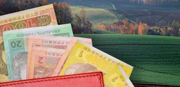 Нардеп з Буковини про «розтяжку» навколо земельної реформи